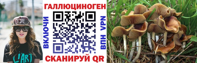 blacksprut зеркало  Ханты-Мансийск  Галлюциногенные грибы ЛСД 